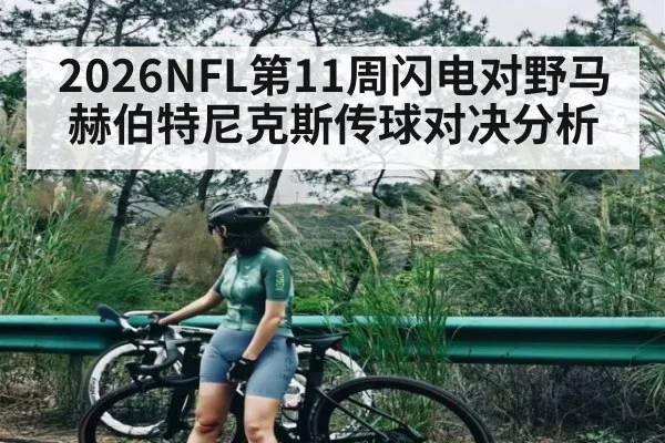 2026NFL第11周闪电对野马赫伯特尼克斯传球对决分析